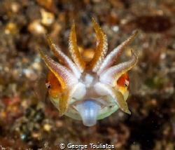 Tongue!!! by George Touliatos 